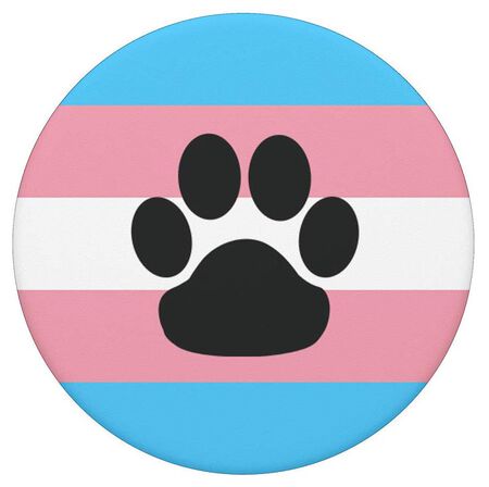 Transgender - WikiFur, the furry encyclopedia