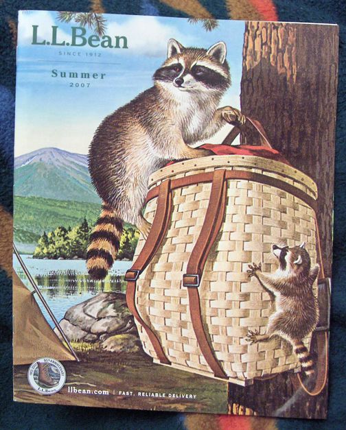 News:Rascally raccoons stage strike at L.L. Bean - WikiFur, the furry ...