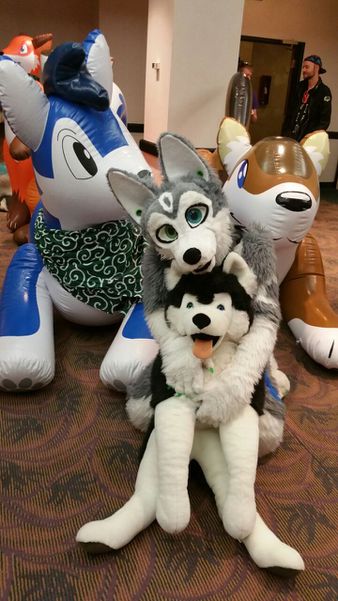 User:HexHusky - WikiFur, the furry encyclopedia