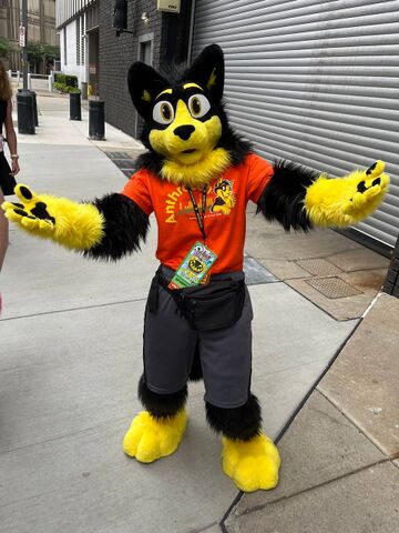 Anthrocon - WikiFur, the furry encyclopedia