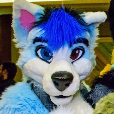 Cloud Husky Landar - WikiFur, the furry encyclopedia