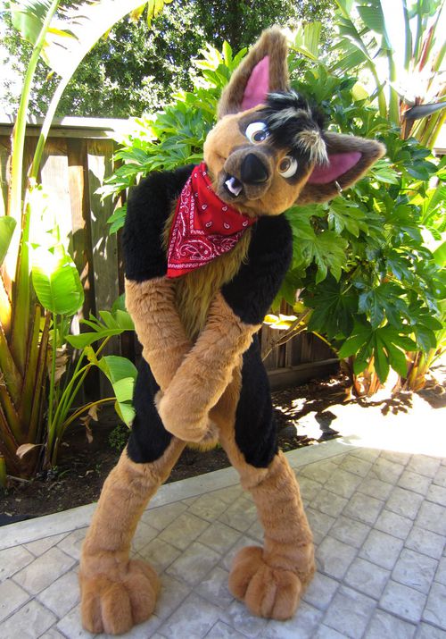 Doryuu - WikiFur, the furry encyclopedia