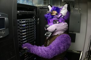 EmberFox - WikiFur, the furry encyclopedia