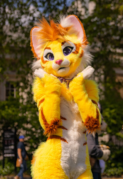 KittyD - WikiFur, the furry encyclopedia